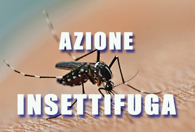 Zanzara, come difendersi in modo efficace con poche mosse Zanzara, come difendersi in modo efficace con poche mosse