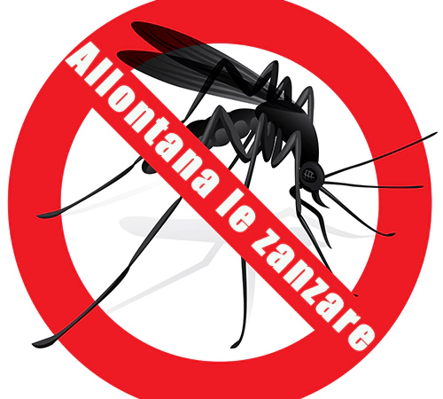Zanzara, come difendersi in modo efficace con poche mosse