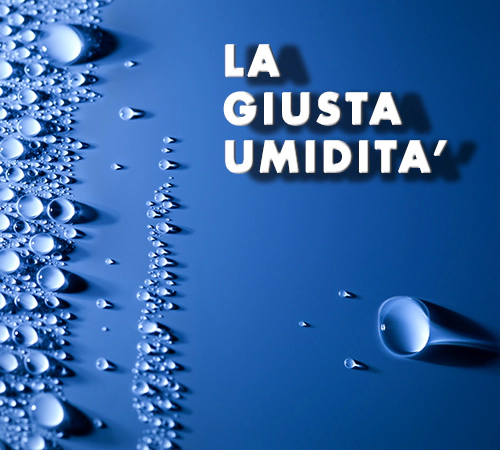 Umidità ambiente: l'importanza del valore corretto Umidità ambiente: l'importanza del valore corretto