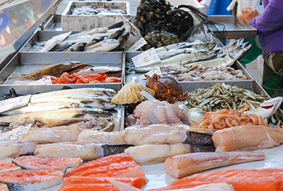 Il banco pesce ideale con il vapore freddo Il banco pesce ideale con il vapore freddo