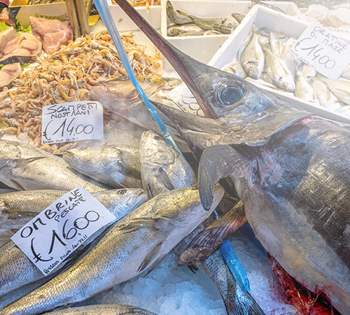 Il banco pesce ideale con il vapore freddo