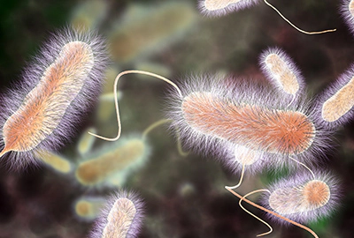 Legionella: cos'è e come evitarla negli impianti di nebulizzazione