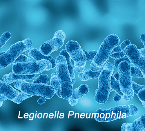 Legionella: cos'è e come evitarla negli impianti di nebulizzazione