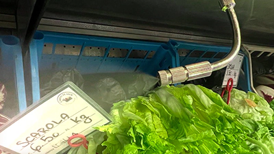 Umidificare per frutta,verdura e prodotti ittici